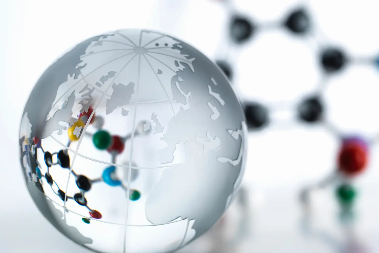 Trade professionals collaborating